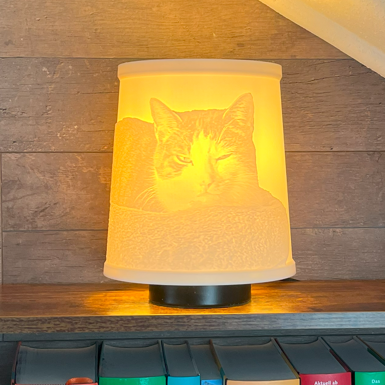 3D-Bilder: Kunstwerke im Lichtspiel