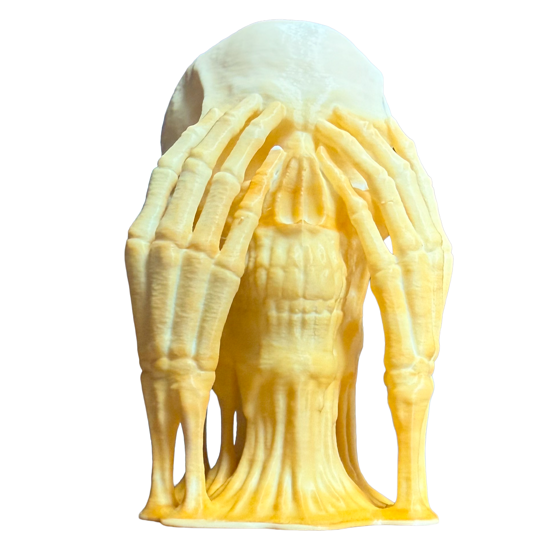 Wächter der Weisheit