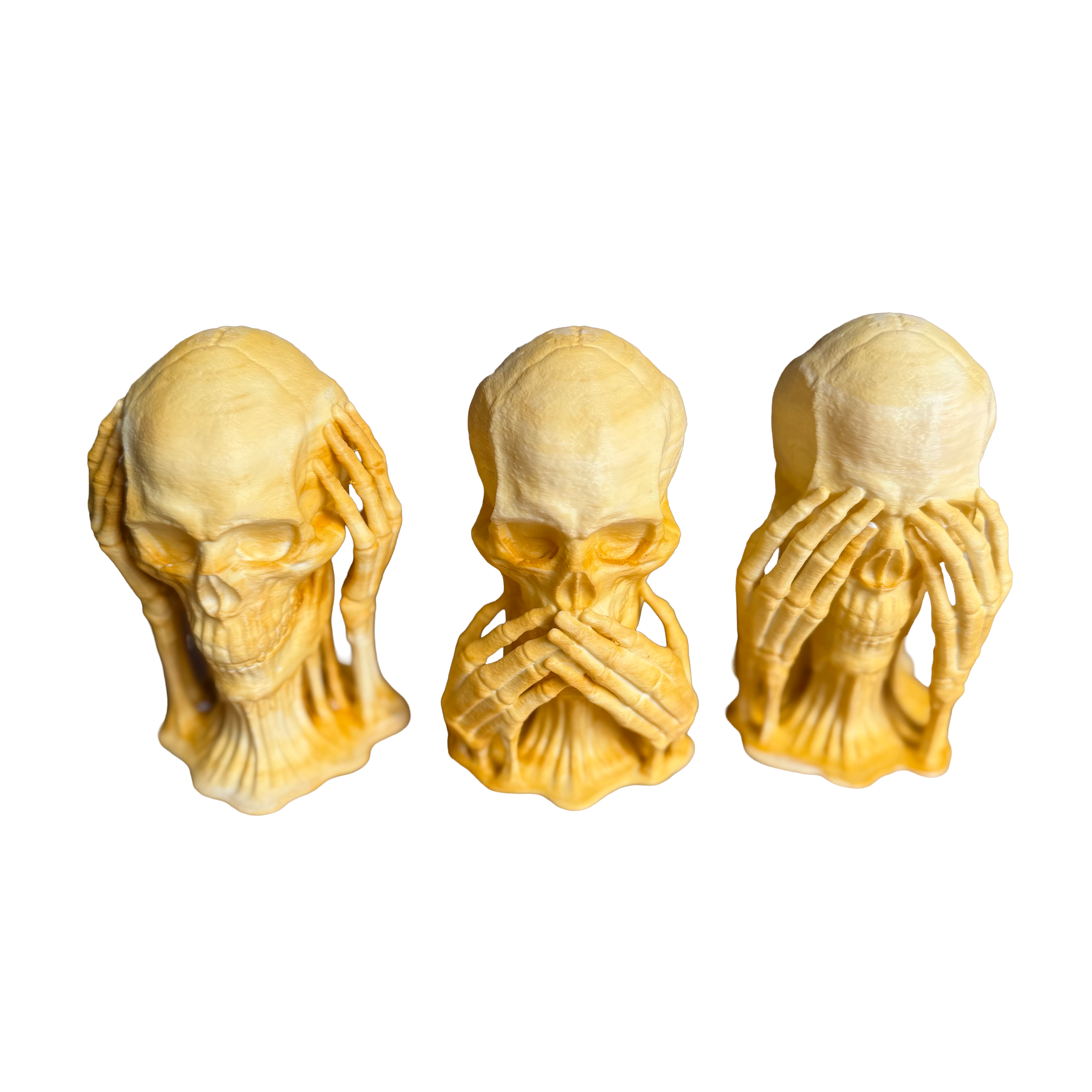 Wächter der Weisheit