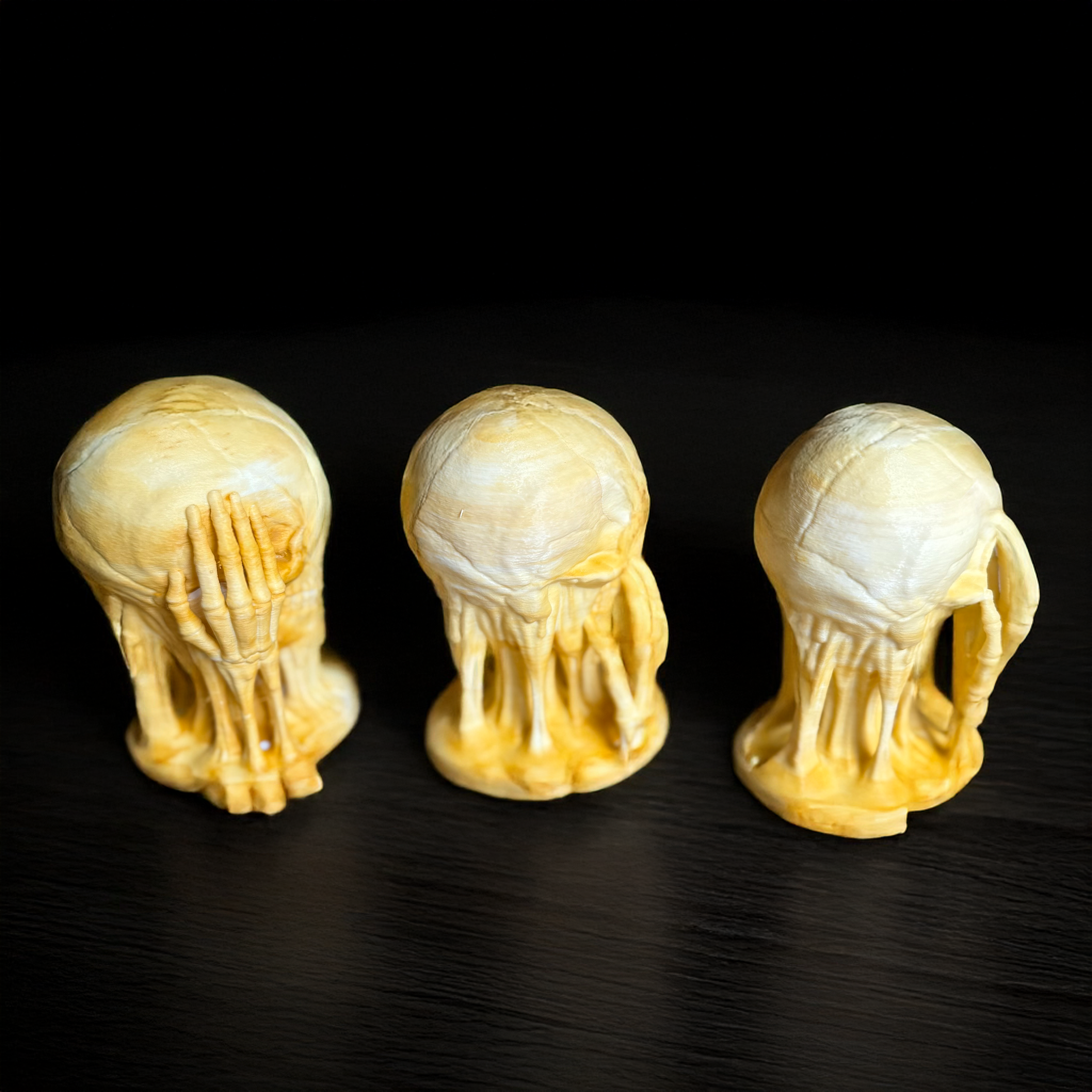 Wächter der Weisheit